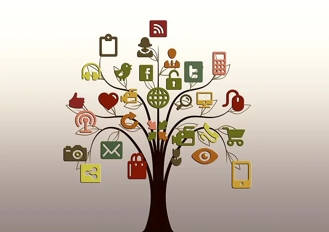 web tree/ senior safety